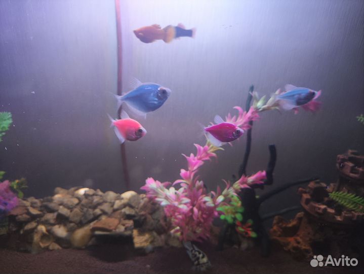 Украшение для аквариума