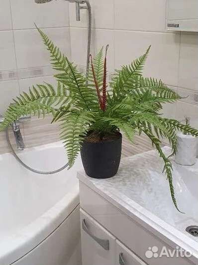 Папоротник комнатный, искусственный папоротник, ис
