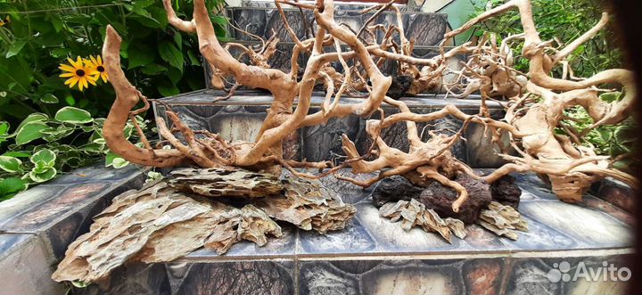 Коряги,грунт