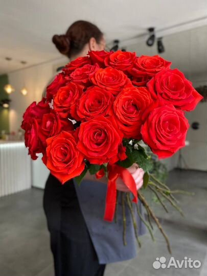 Роза нина голландия