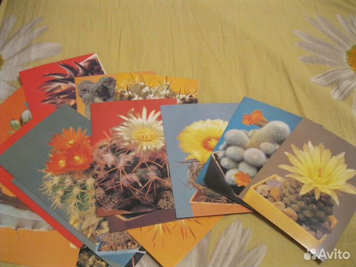 Набор открыток 