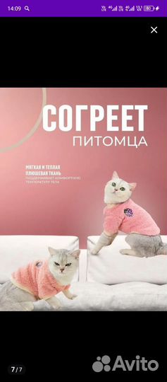 Толстовка для собак и кошек