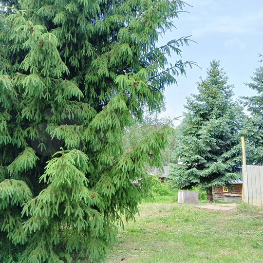 Участок 9 сот. (СНТ, ДНП)