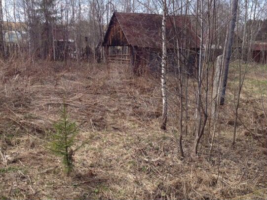 Участок 23,2 сот. (СНТ, ДНП)