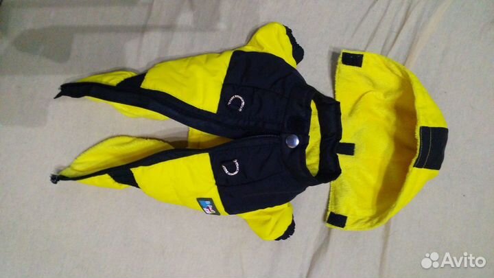 Костюм спортивный для собак