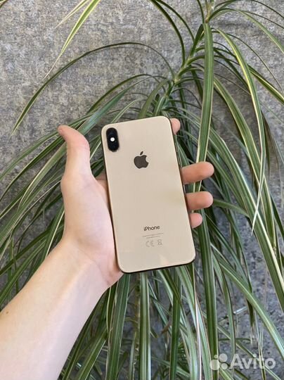 iPhone Xs, 256 ГБ