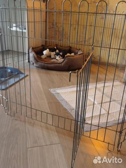 Вольер манеж для собак маленьких и средних пород в