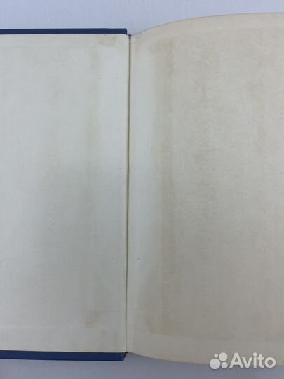 До свидания, друг вечный. Телохранитель