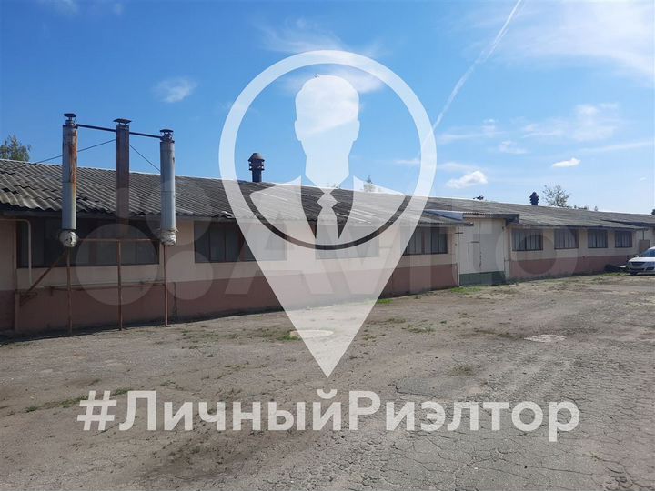 Сдам производственное помещение, 1200 м²