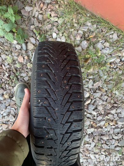 Amtel NordMaster Evo 175/70 R13