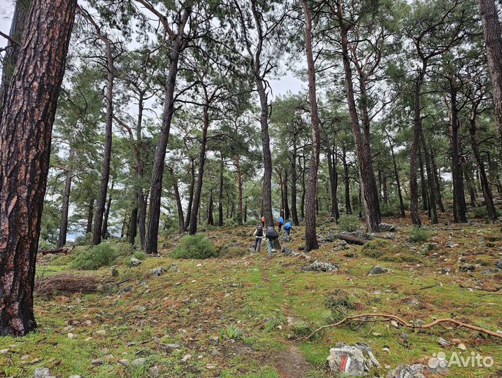 Карийская тропа туры 2024 Турция