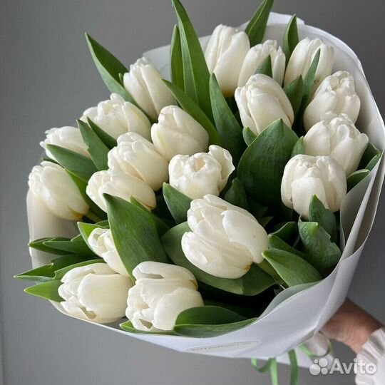Букет из белых тюльпанов