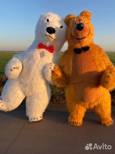 Большой Белый мишка/живая открытка/Бурый Медведь