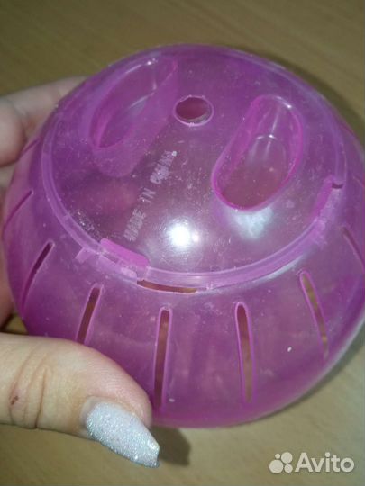 Прогулочный шар для грызунов