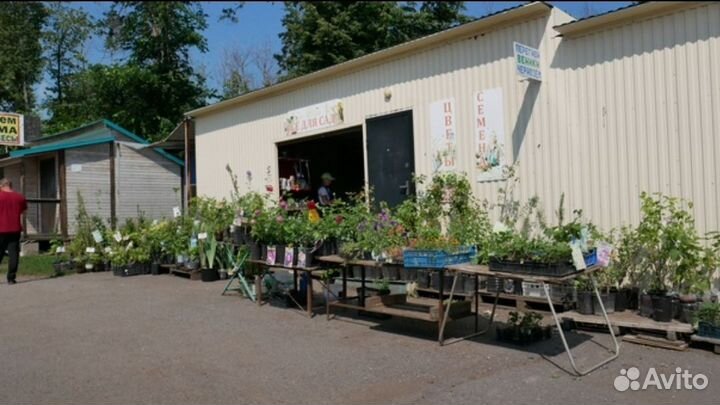 Аренда под кафе и торговые площадки