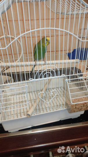 Клетка для волнистого попугая