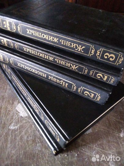 Энциклопедии Жизнь насекомых