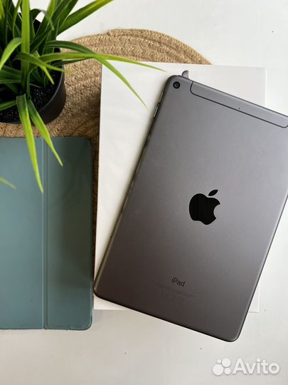 iPad Mini 5 Wi-Fi & Cellular рст