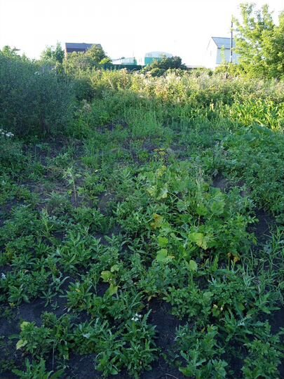 Дача 20 м² на участке 7,5 сот.