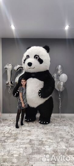 Белый мишка, Кинг-Конг, зайка, панда, чебурашка