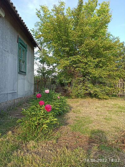 Дача 20 м² на участке 5 сот.