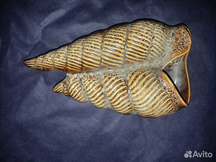 Ракушка кашпо керамика