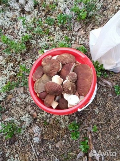 Варенье, ягоды, грибы, мёд, хреновина