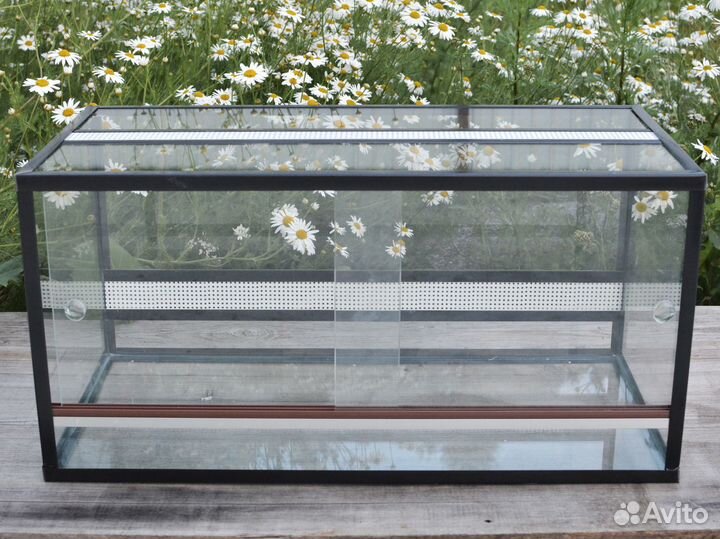 Террариум для эублефара