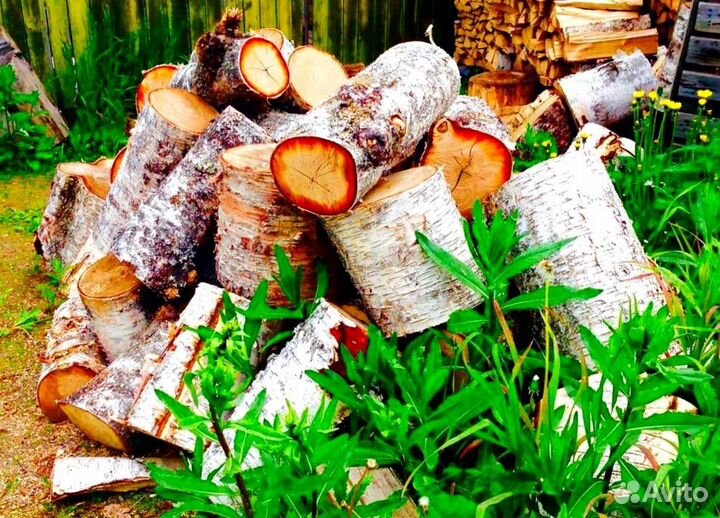 Дрова которые можно разжечь