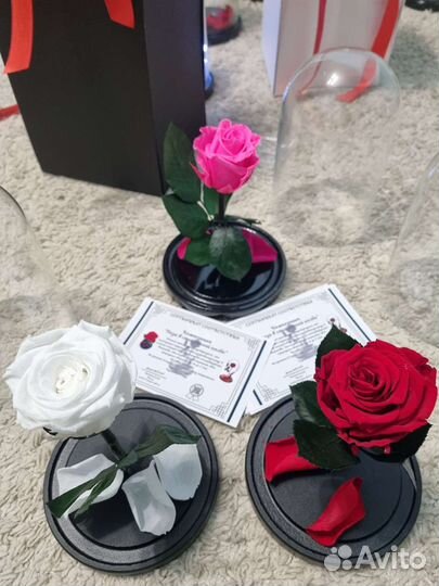 Роза в колбе