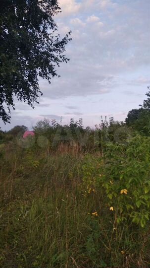 Участок 16 сот. (СНТ, ДНП)