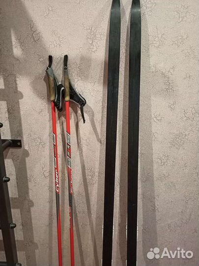 Лыжи беговые salomon RS7