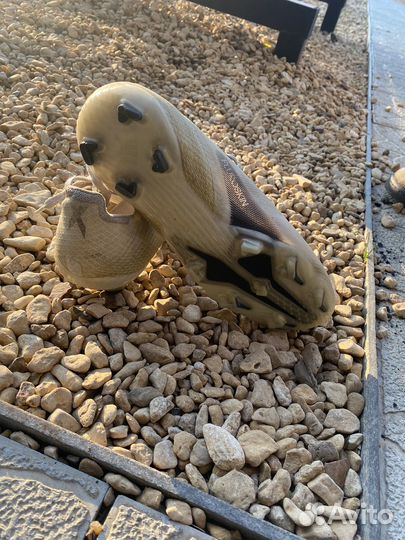 Футбольные бутсы adidas x 20