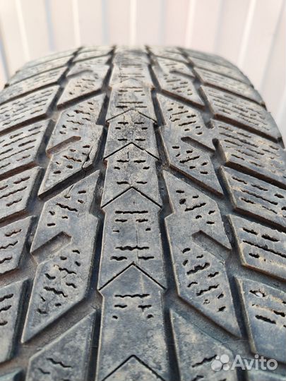 Nexen Winguard Ice Plus 175/65 R14 86T