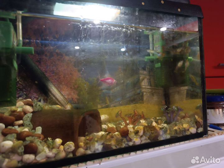 Аквариум