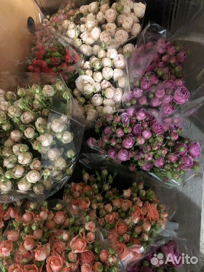 Кустовые розы микс оптом и в розницу