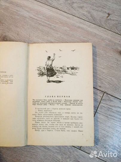 Александр Пунченок. Пассажир дальнего плавания