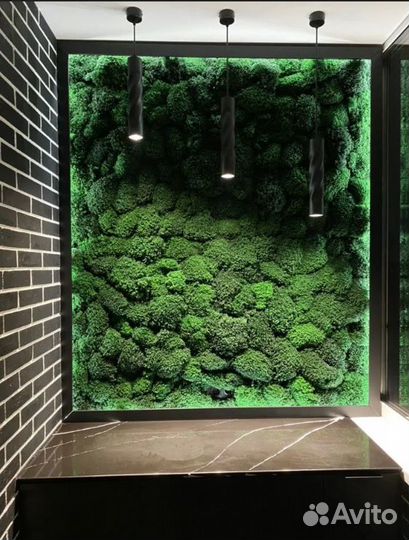 Эко-панели из Королевского мха премиум решение