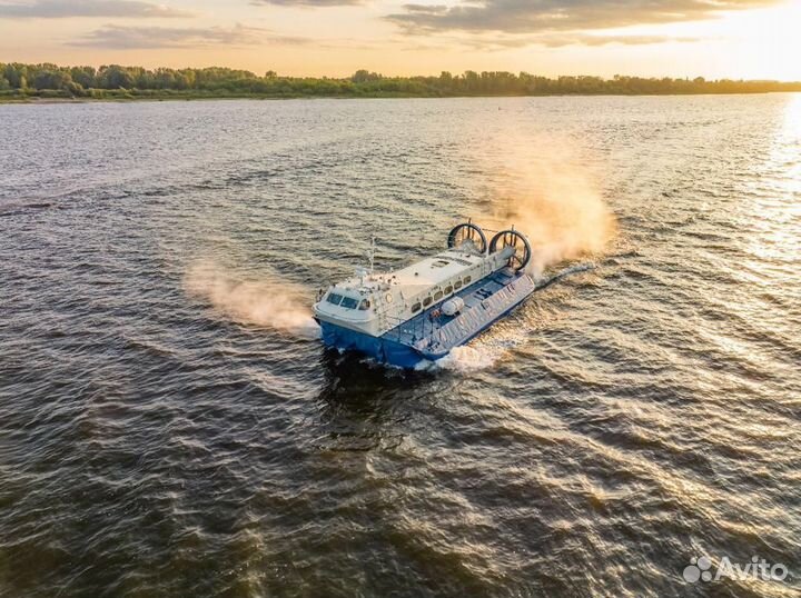 Судно на воздушной подушке 