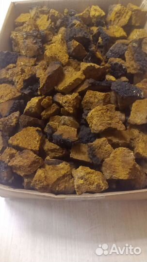 Чага березовая кусочками и молотая