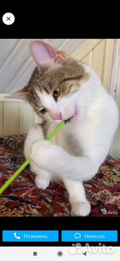 Семён Милый малыш Лучший маме