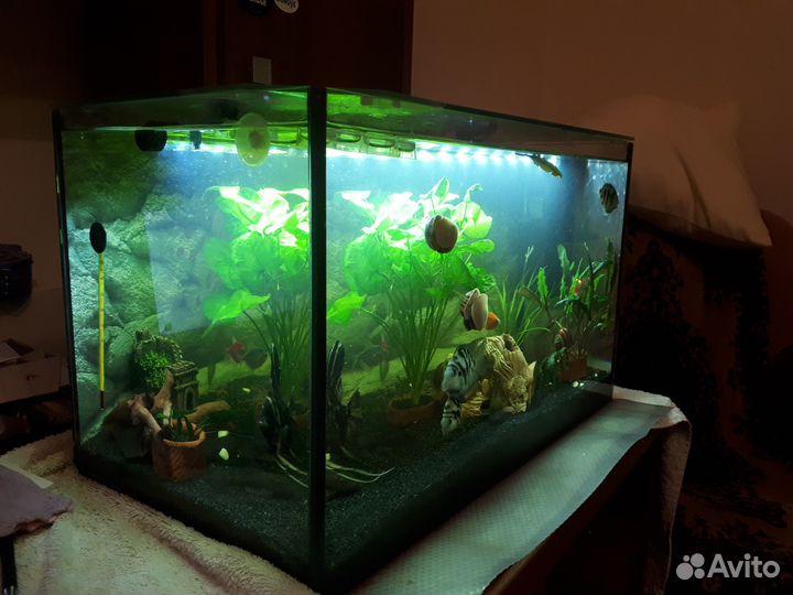 Аквариум