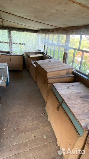 Пчелиные домики улья