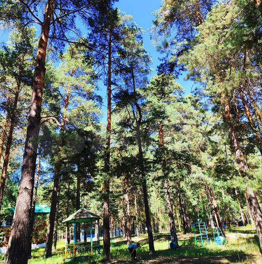 Участок 6,7 га (СНТ, ДНП)