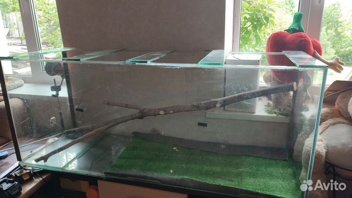 Аквариум, террариум 1м50/60/50