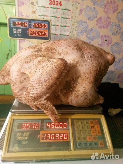 Мясо индейки