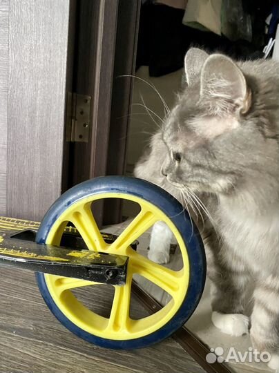 Самокат двухколесный для детей от 8 лет