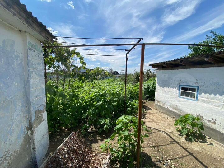 Дом 37,7 м² на участке 12 сот.