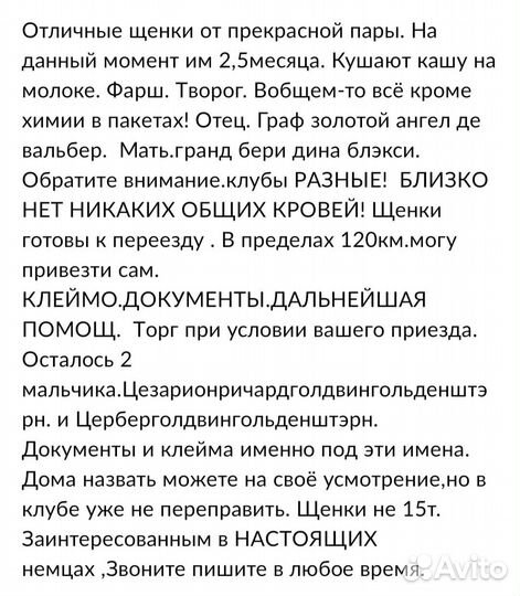 Щенки немецкой овчарки с документами