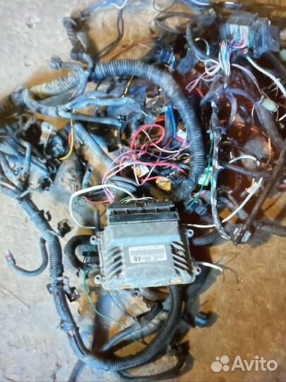 Мозги со всей проводкой в сборе целиком